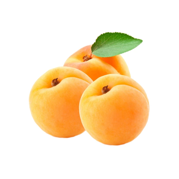 Apricot