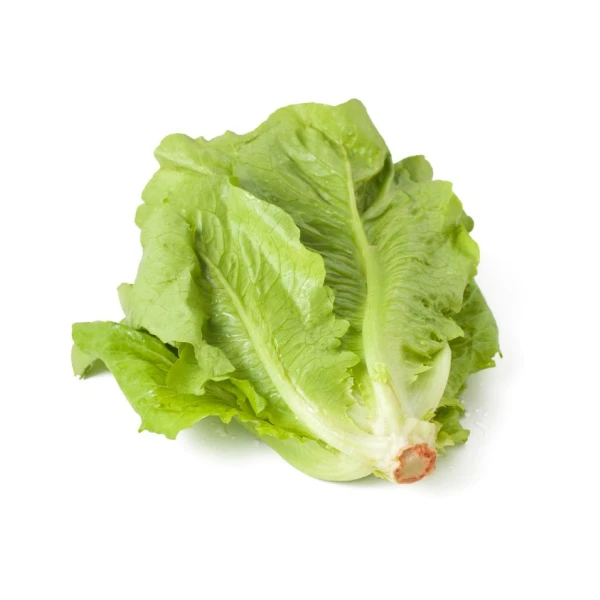 Lettuce