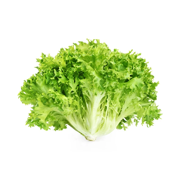 Escarole