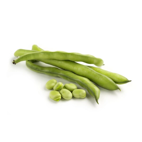 Green bean