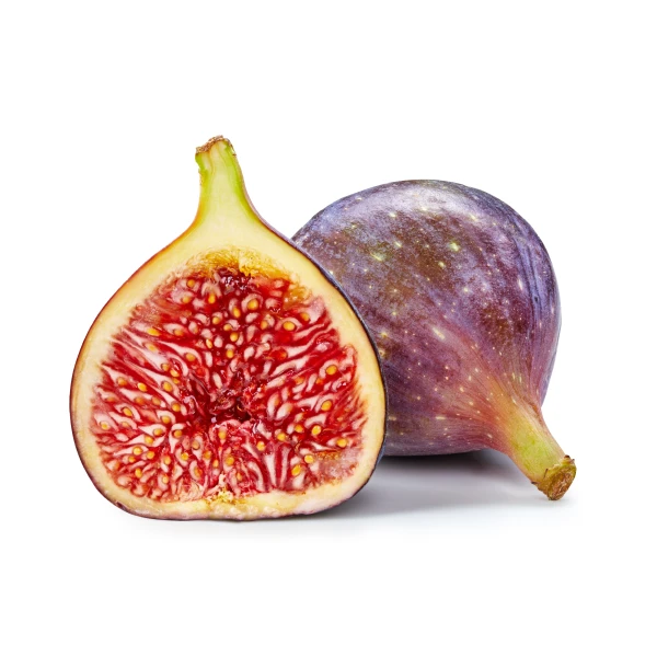 Fig