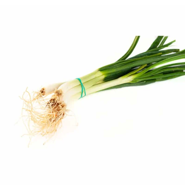 Spring onion