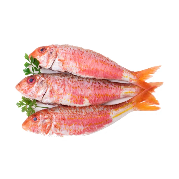 Red mullet