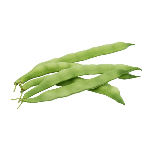 Bean