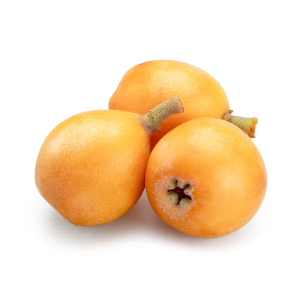 Medlar