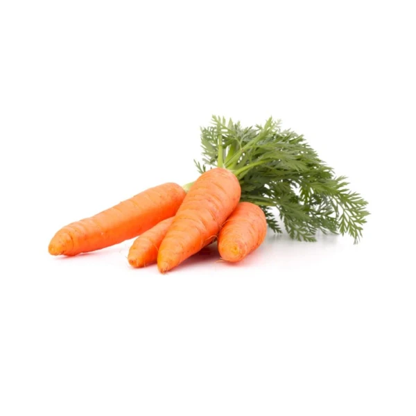 Carrot