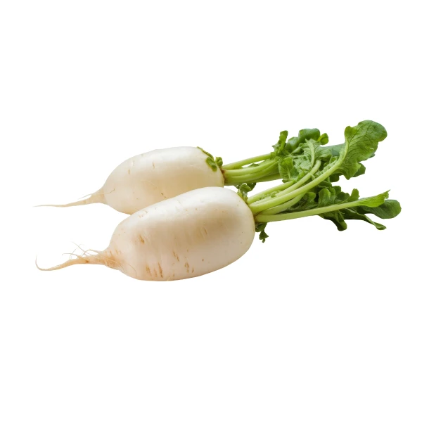 Radish